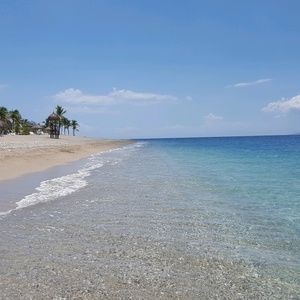 Meet your Posher, Patty